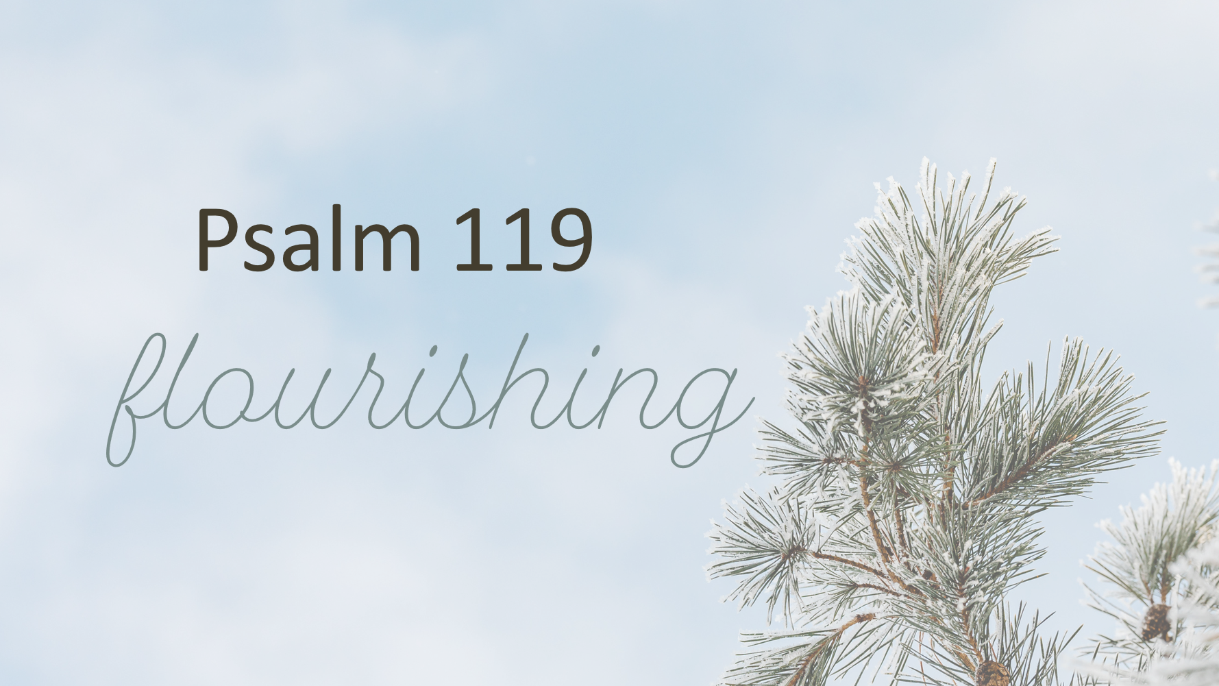 Psalm 119 – Flourishing